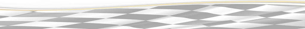 Racing_Flag-e Kopie